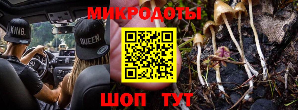 Галлюциногенные грибы Cubensis  Вход с VPN  Аргун 