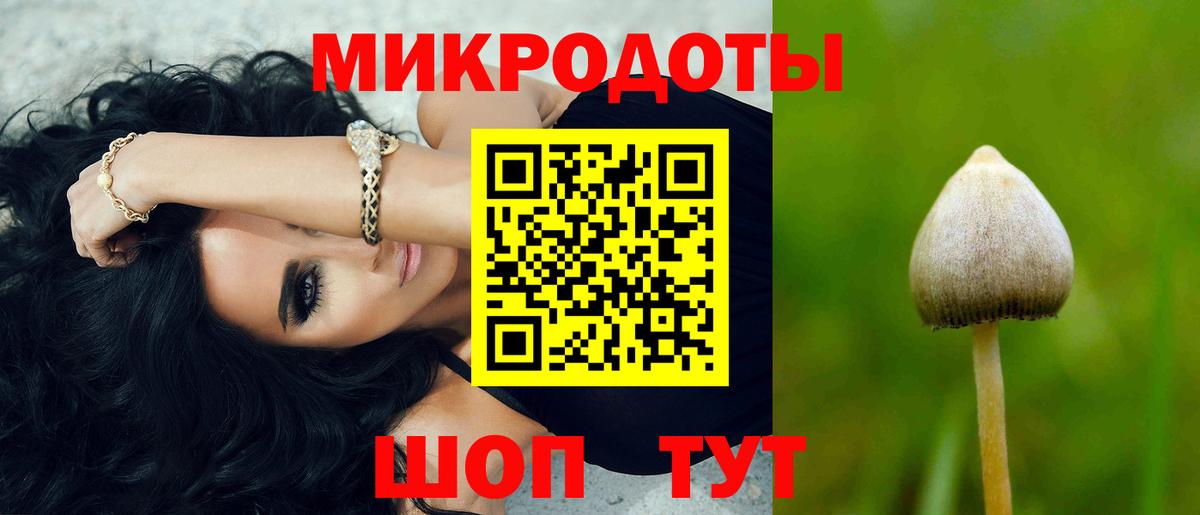 Галлюциногенные грибы мухоморы Аргун